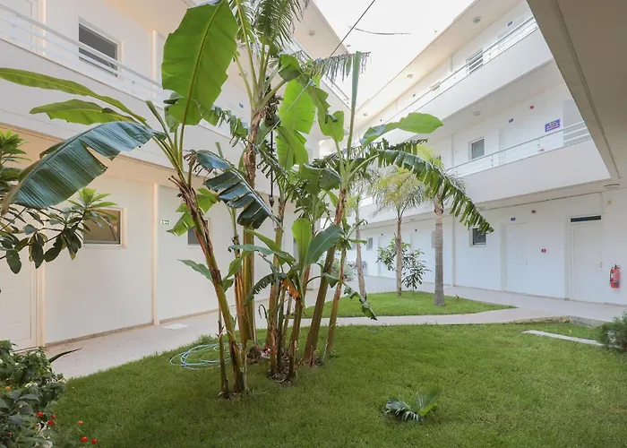 Dream & فاليراكي