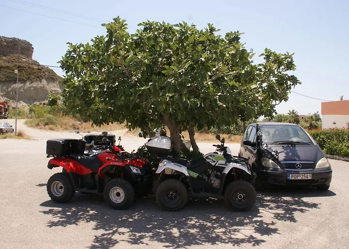 Dream & 팔리라키