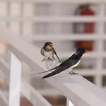 شقة فندقية Dream & فاليراكي